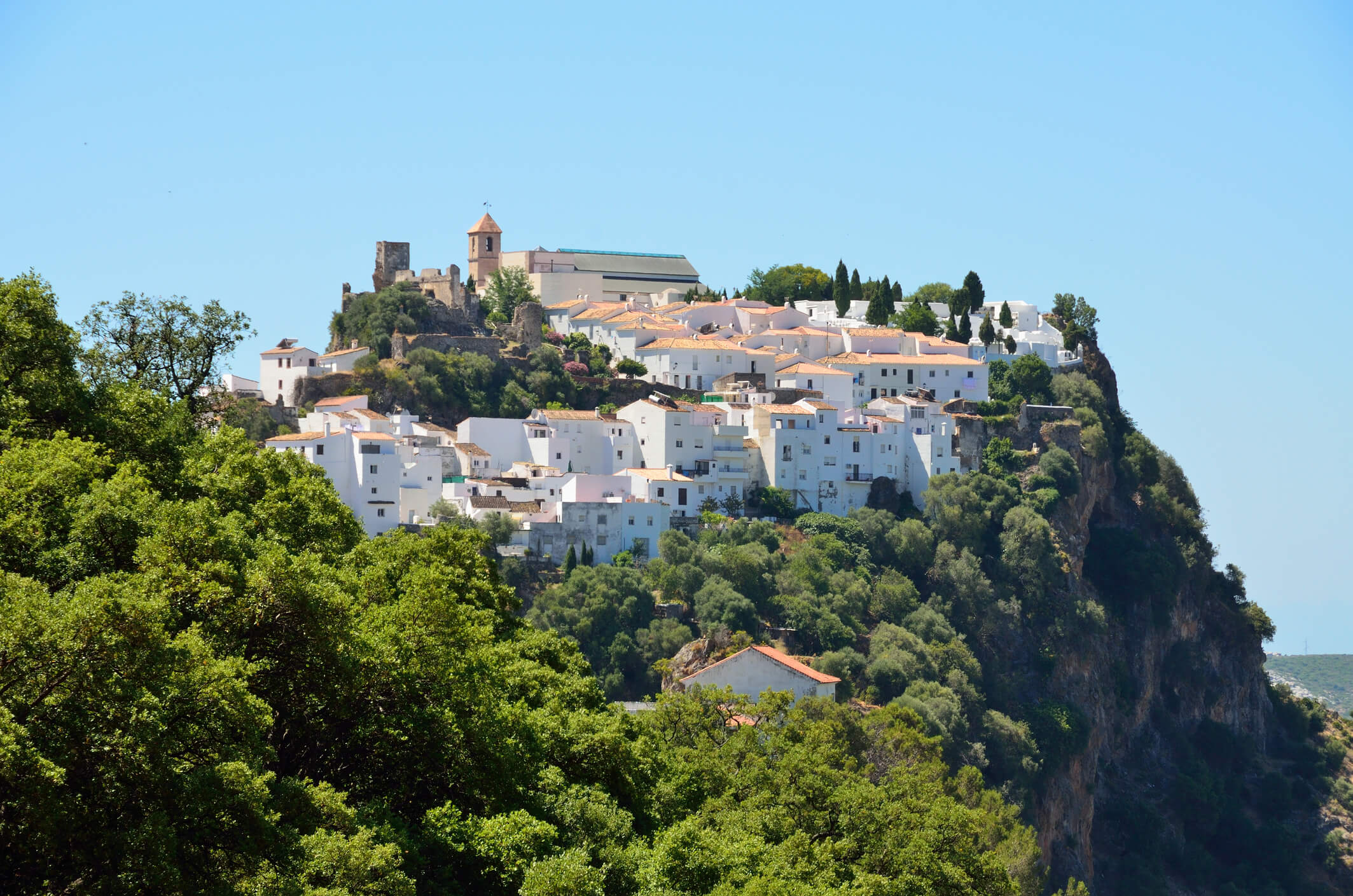 Casares