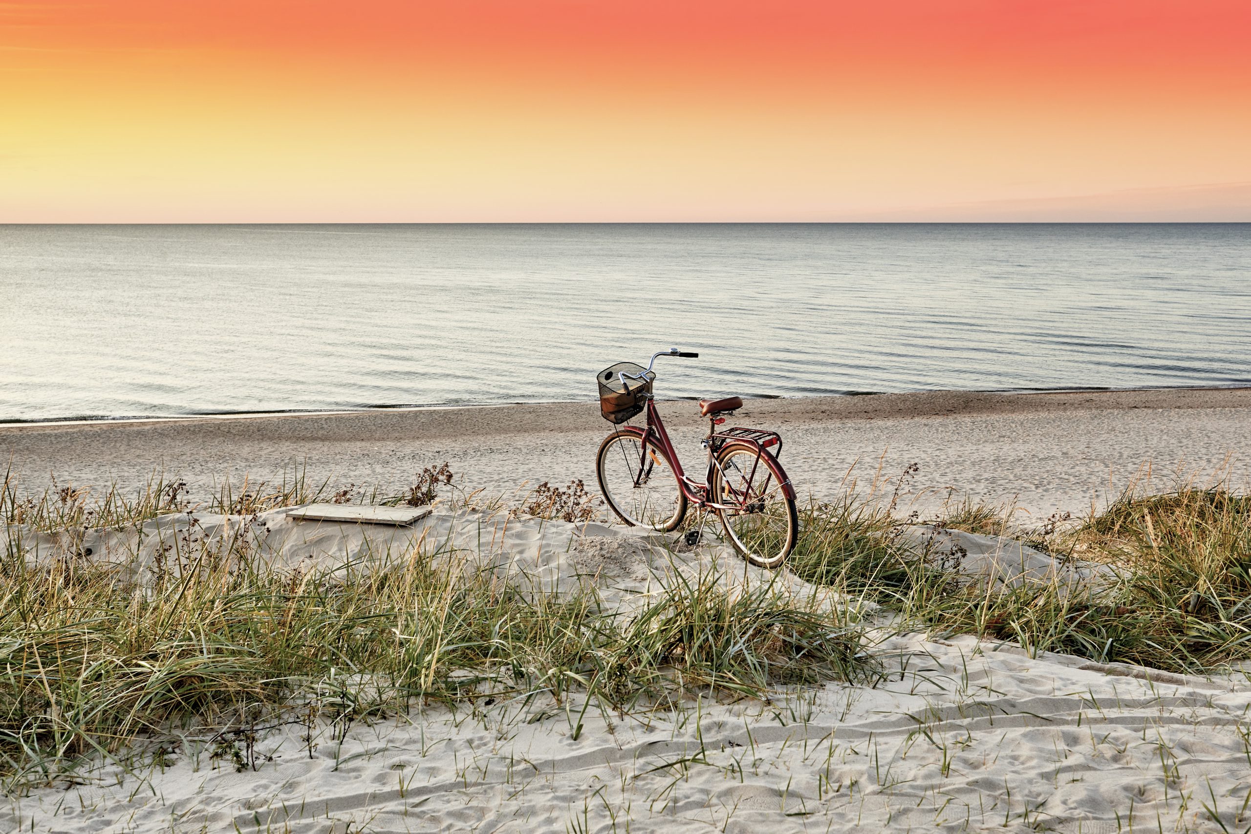 Marbella: El paraíso del ciclismo