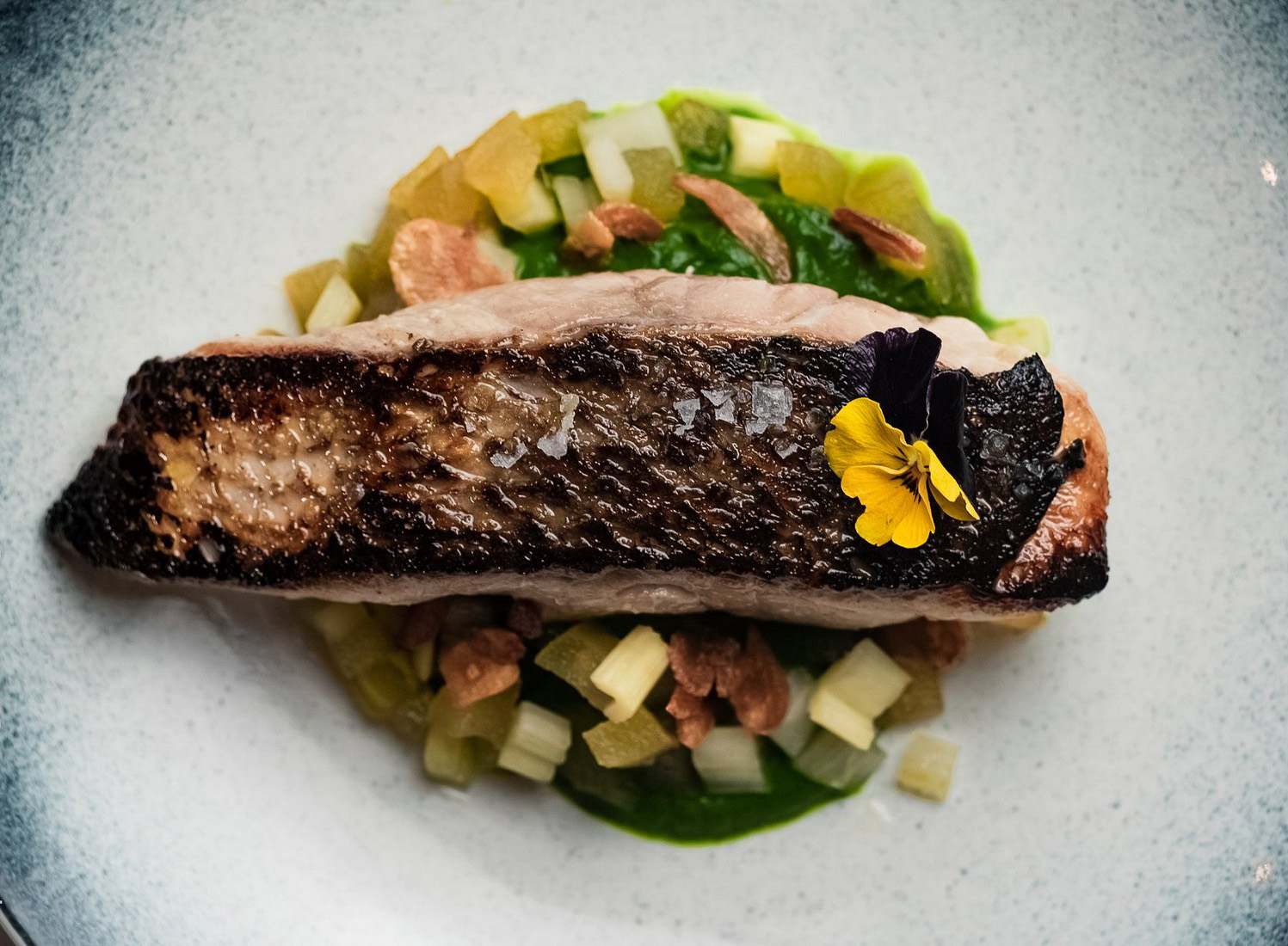 Photograph of a fish dish from Casa Eladio, a Michelin selected restaurant in Marbella, Spain | Credit: https://www.tripadvisor.es/